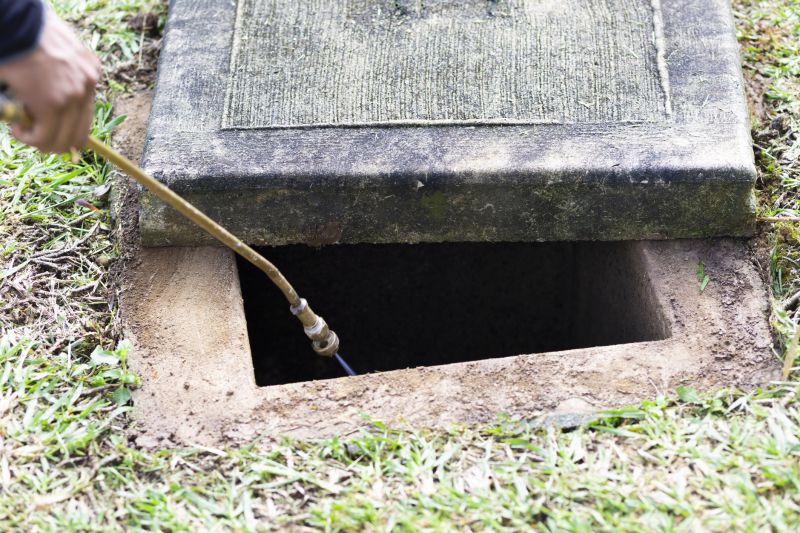 Pest Fumigation Service in Fort Collins, CO
